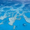 Aerial of Hardy Reef