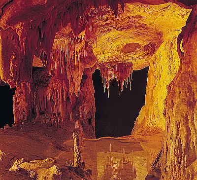 Naracoorte Caves