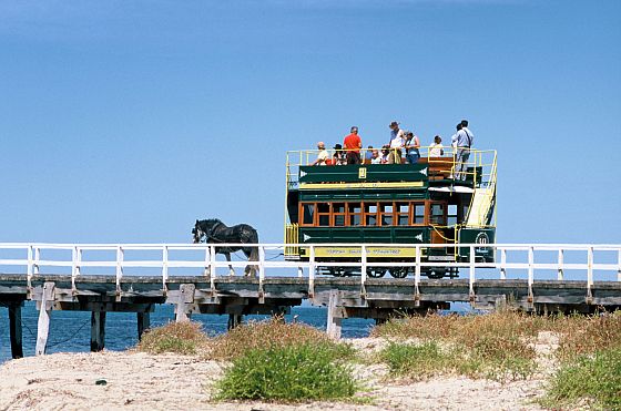 Horse Drawn Tram - Victor Harbour