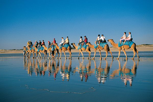 Late afternoon camel ride on Cable Beach, Broome