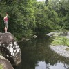 Never Never Creek, Dorrigo NP