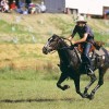 Snowy River Festival, Dalgety