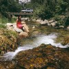 Nature scenic, Alpine Way