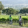 Cycling at Mt Frome vineyard