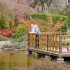 Japanese Gardens Cowra