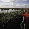 Fivebough wetlands, Leeton