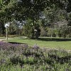 Wagga Wagga Botanic Gardens