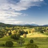 View towards Mount Warning