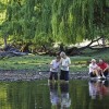 Fossicking in Inverell