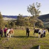 Jackeroo Jillaroo Experience, Bingara