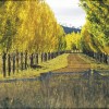 Country Lane, Glen Innes