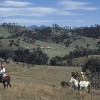 Horse riding - Hunter