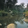 Fishing at Wattleridge, near Guyra