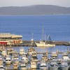 Marina, Nelson Bay