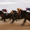 Picnic Races, Louth