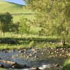 Gloucester Tops, Barrington Tops NP