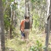 Thunderbolts Lookout, Barrington Tops NP