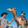 Camel Races