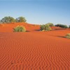 Red Sand Dunes