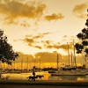 Early morning, Manly Boat Harbour