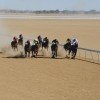 Horses racing at Birdsville Races