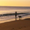 WSY Dog Friendly Whitsundays