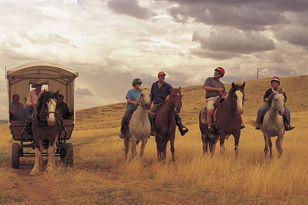 Trail Riding