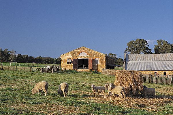 Bungaree Station