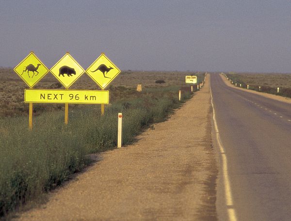 Eyre Highway