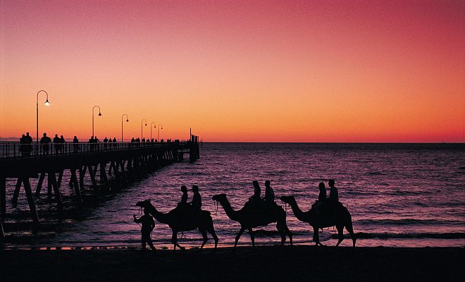 Camel Riding at Sunset