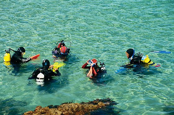 Scuba Diving Noarlunda