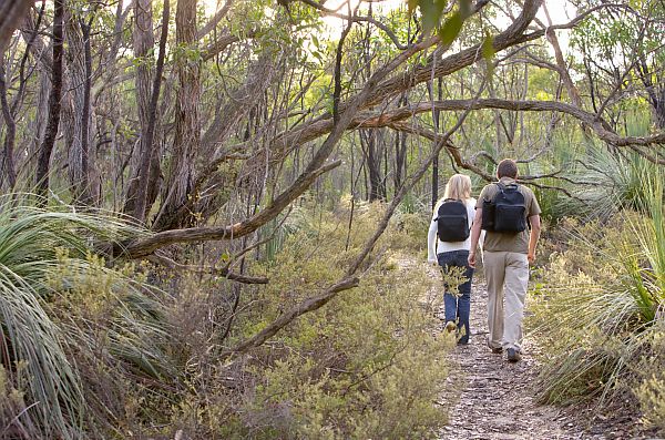 Bush Walking