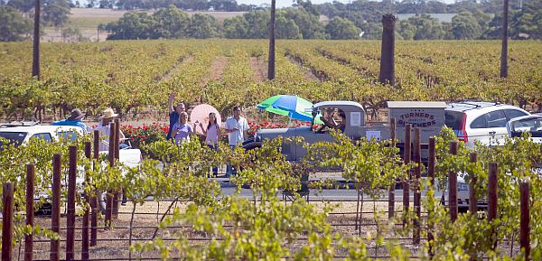 Barossa Vintage Festival