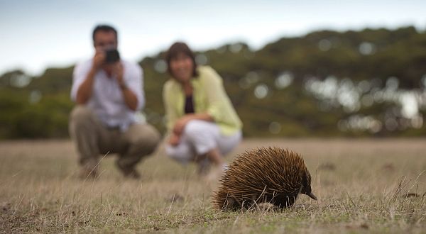 Flinders Chase National Park