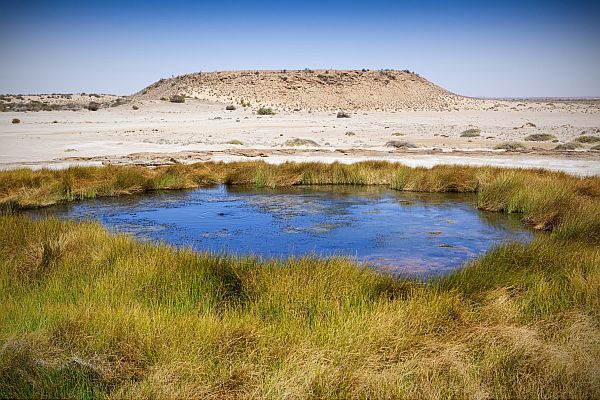 Mound Springs