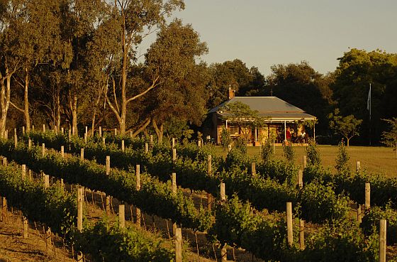 Fox Creek Cellar Door