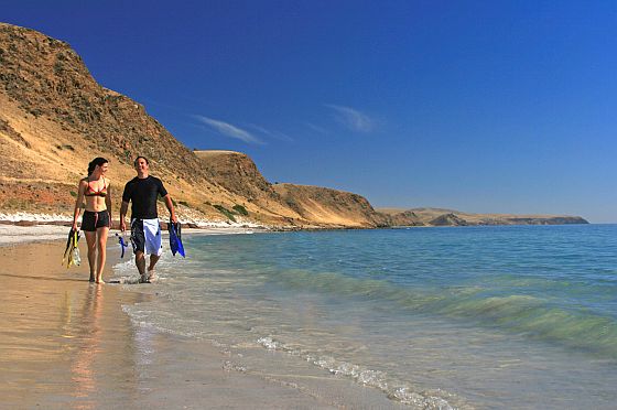 Beach Walking and Snorkelling