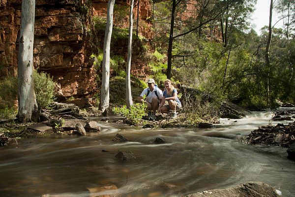 Alligator Gorge, Mount Remarkable National Park