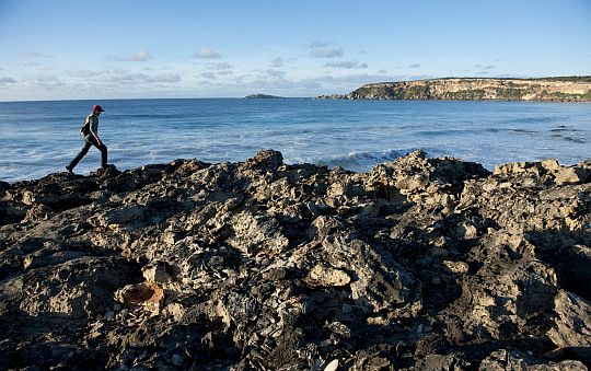 Rock Walking