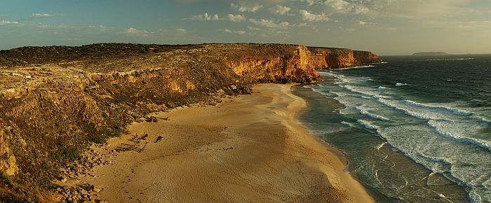 Ethel Wreck Beach