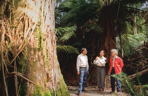 Great Short Walks - Evercreech Forest Reserve