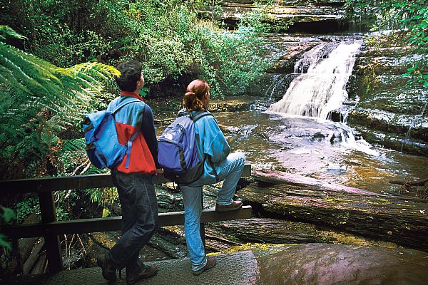 Great Short Walks - Lady Barron Falls Loop Track