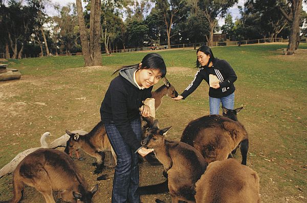 Ballarat Wildlife Park