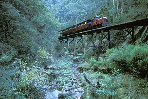 Train on the Walhalla Goldfields Railway, West Gippsland