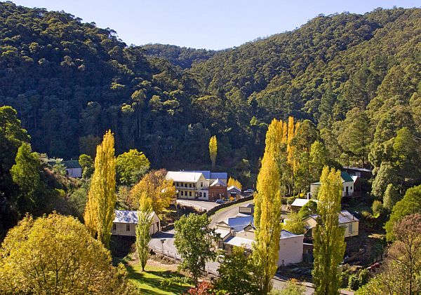 Aerial view of Walhalla