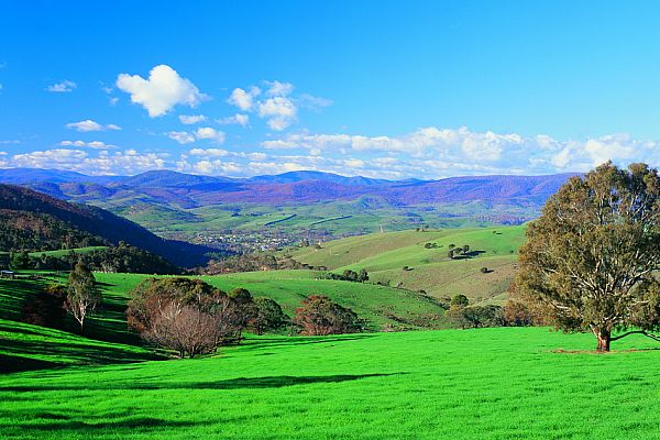 Farmland at Omeo