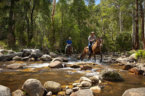 Horse riding at Mirimbah