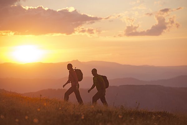 Bushwalking at Razorback