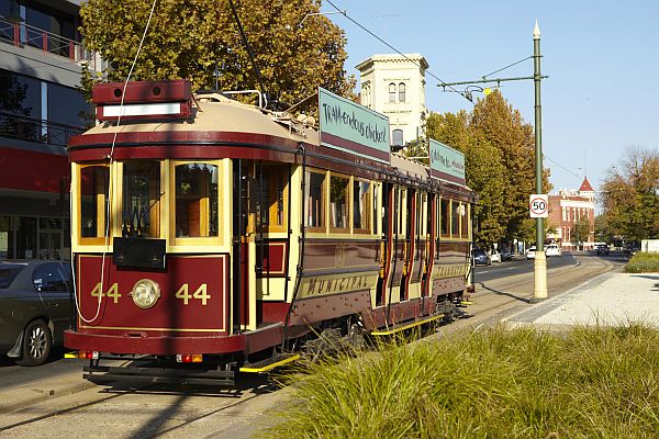 Bendigo tram