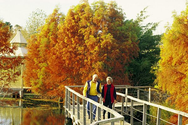 Penshurst Wetland Gardens